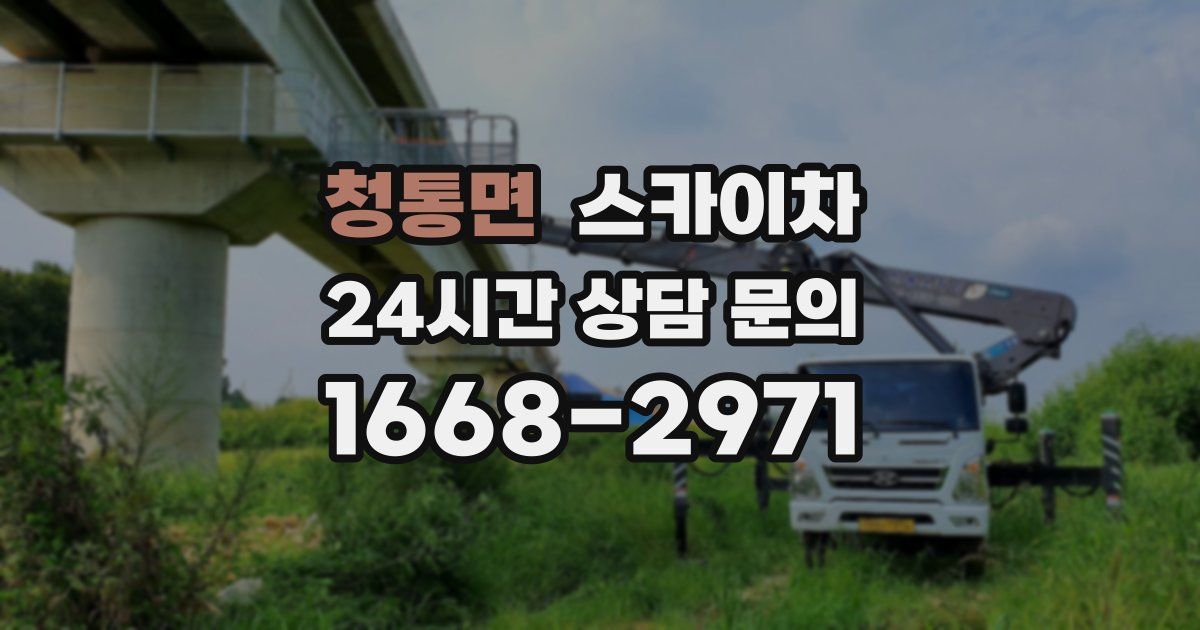 청통면 스카이차