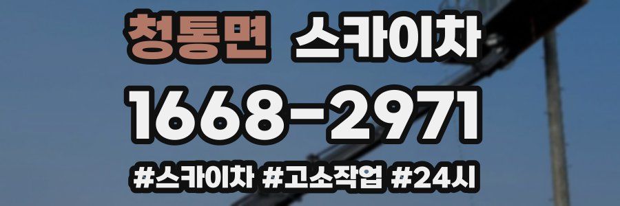 청통면 스카이차