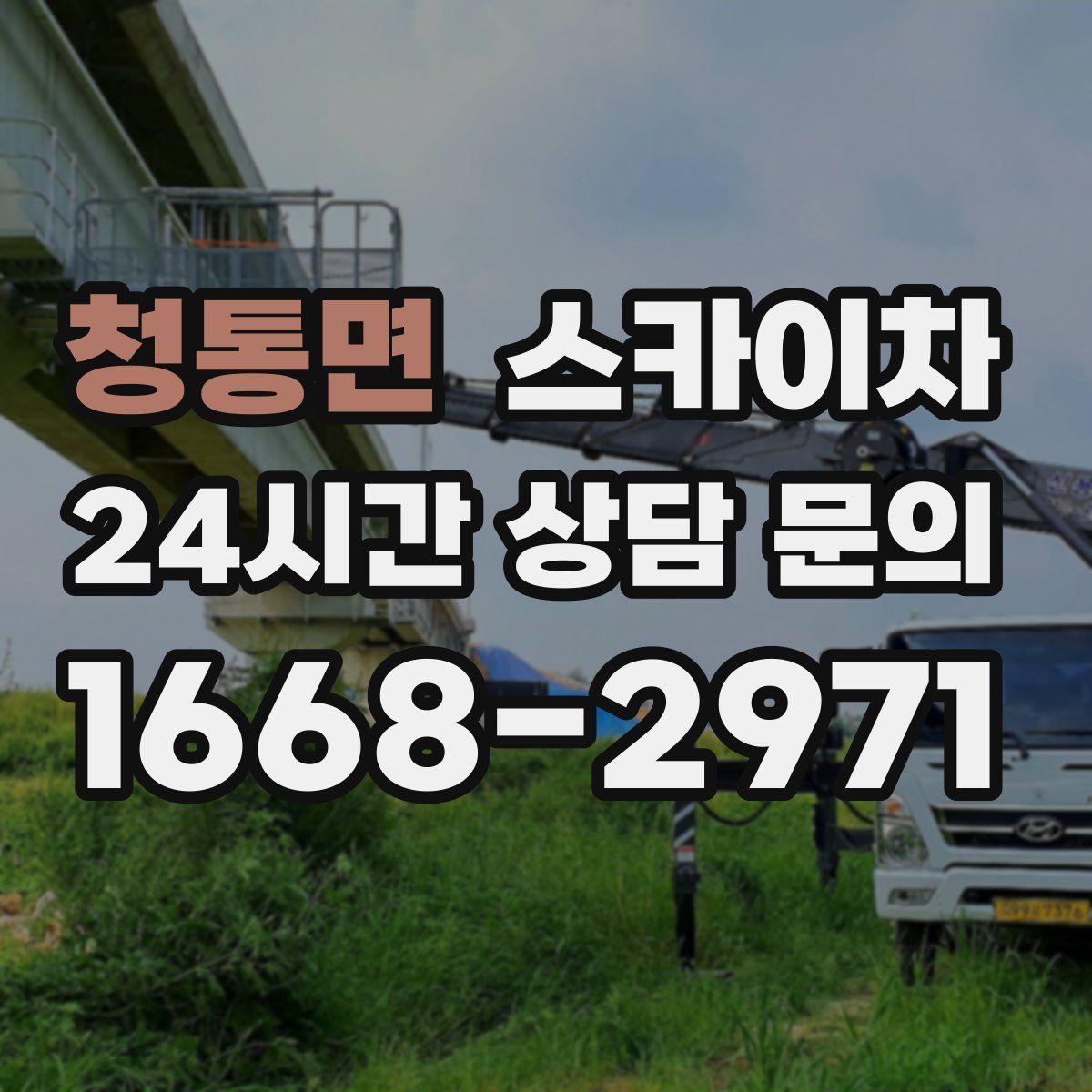 청통면 스카이차