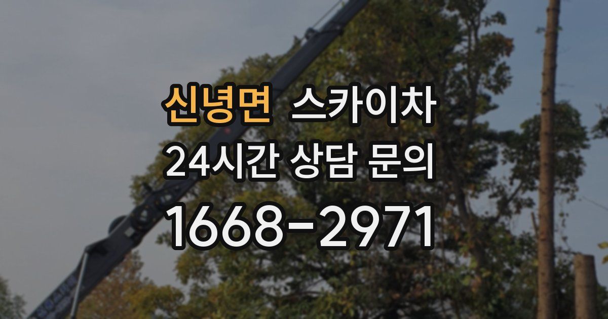 신녕면 스카이차