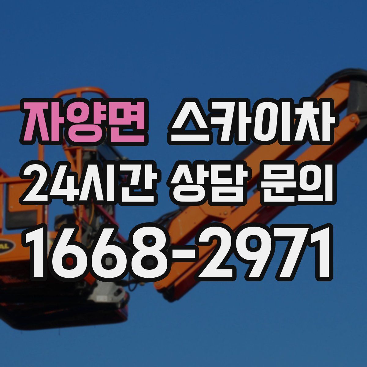 자양면 스카이차