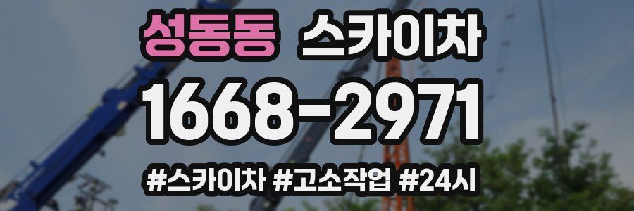 성동동 스카이차