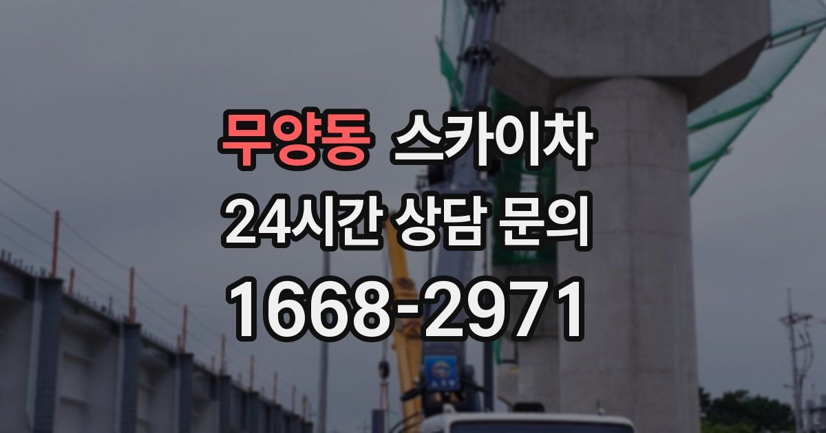 무양동 스카이차