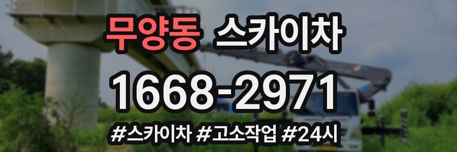 무양동 스카이차