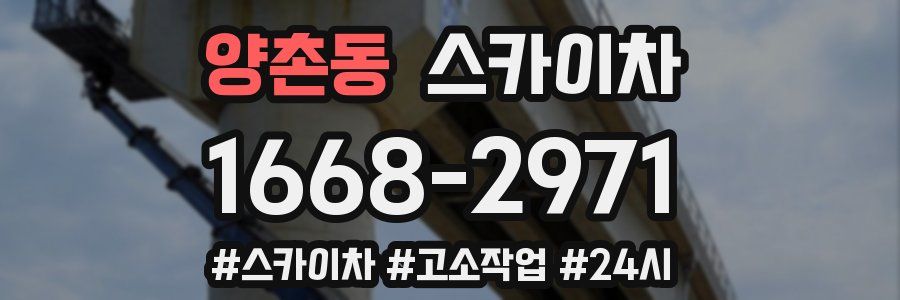 양촌동 스카이차