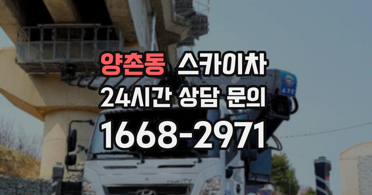 양촌동 스카이차