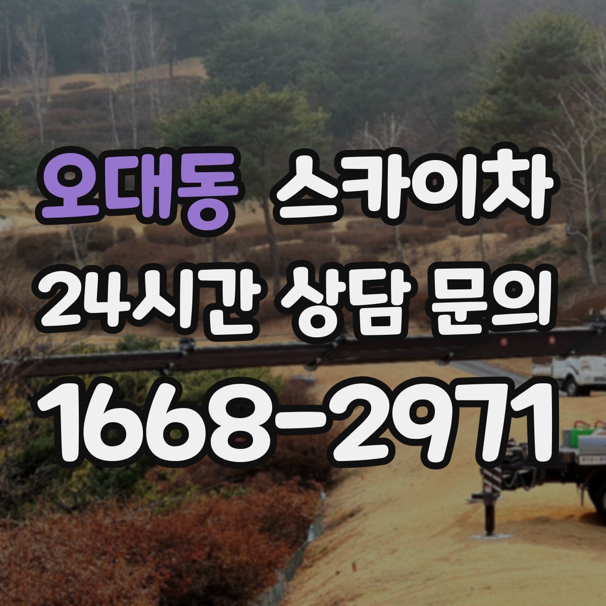 오대동 스카이차