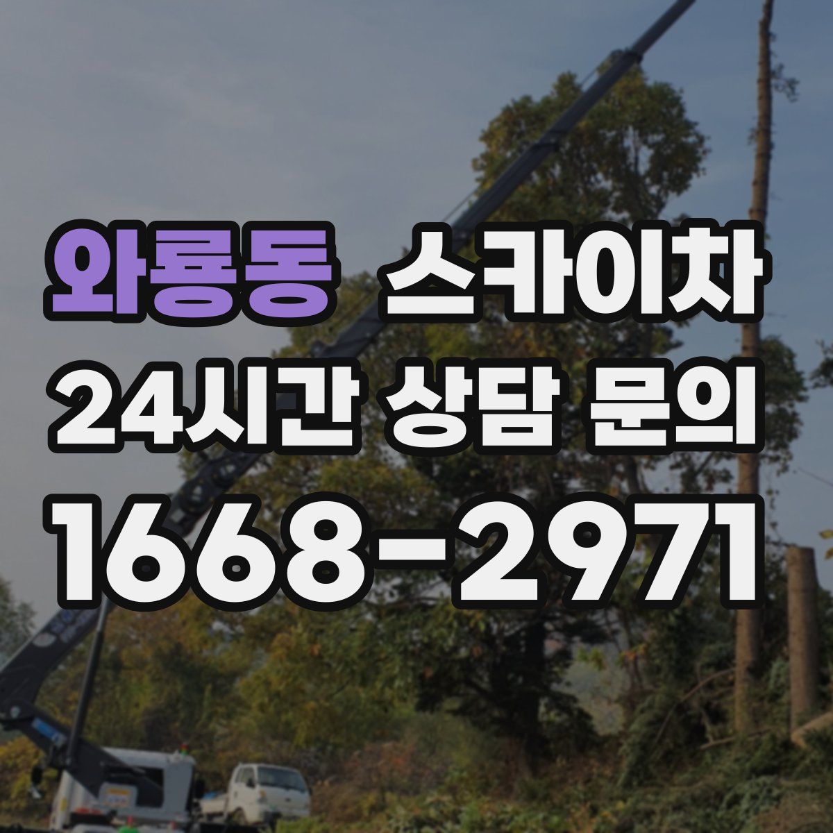와룡동 스카이차