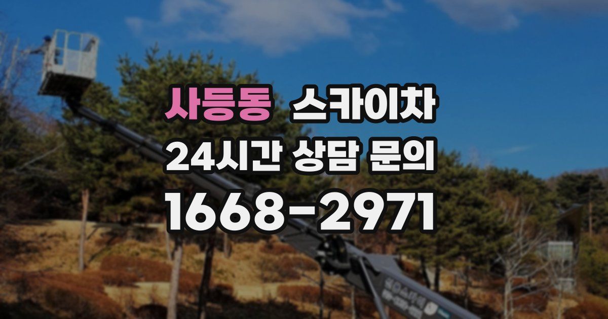 사등동 스카이차