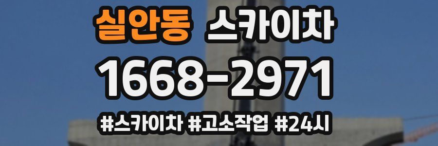 실안동 스카이차