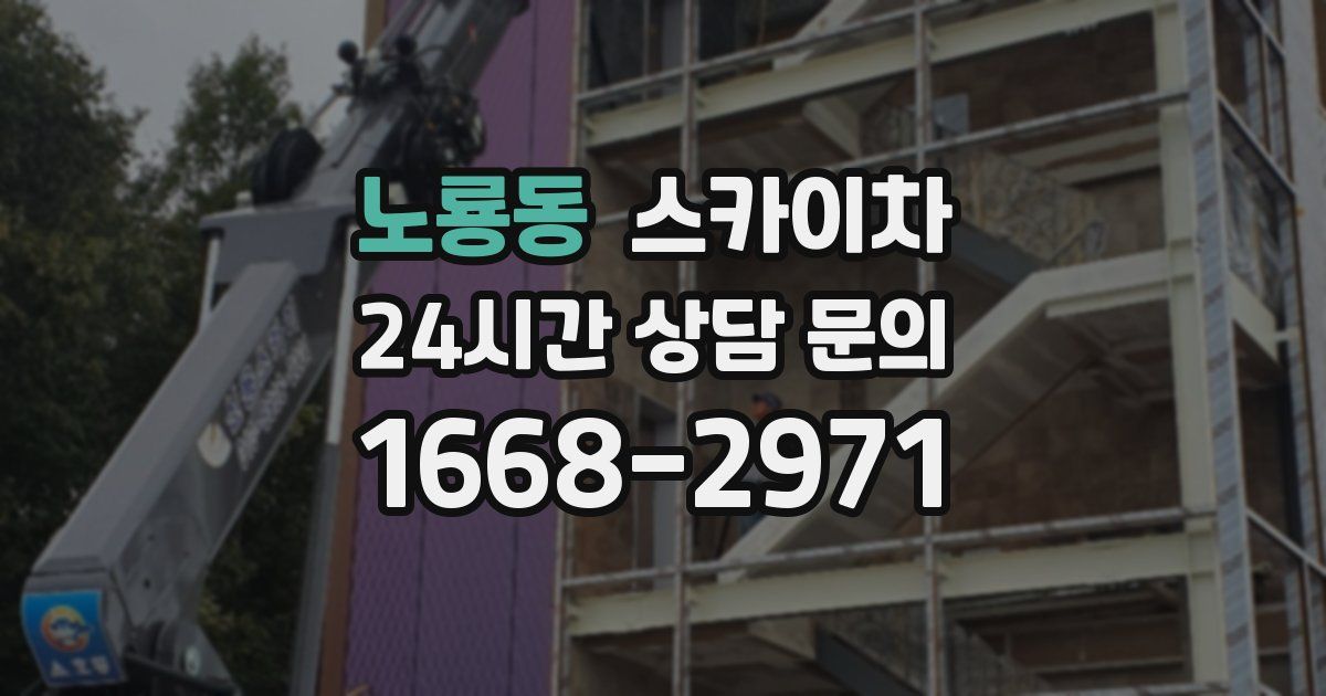 노룡동 스카이차