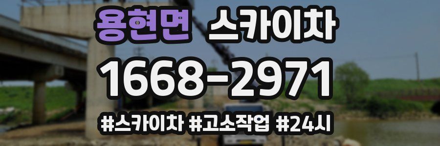 용현면 스카이차