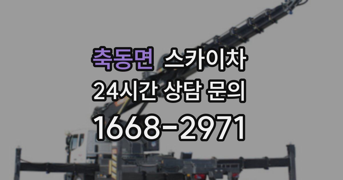 축동면 스카이차