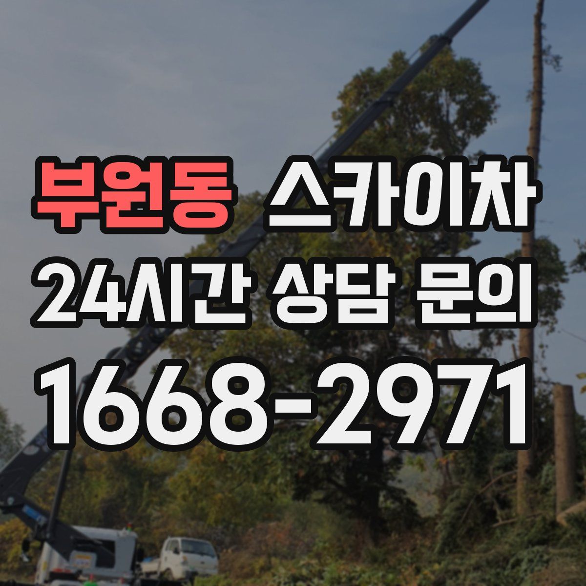 부원동 스카이차