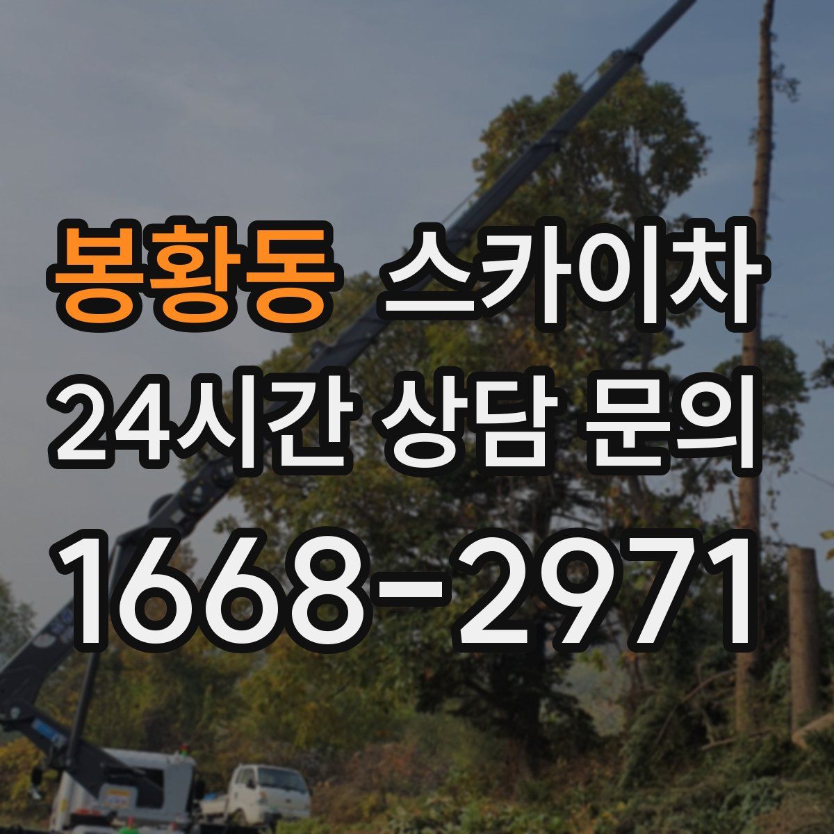 봉황동 스카이차