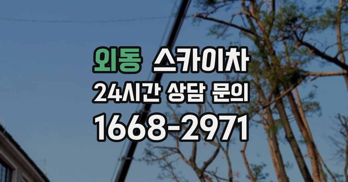 외동 스카이차