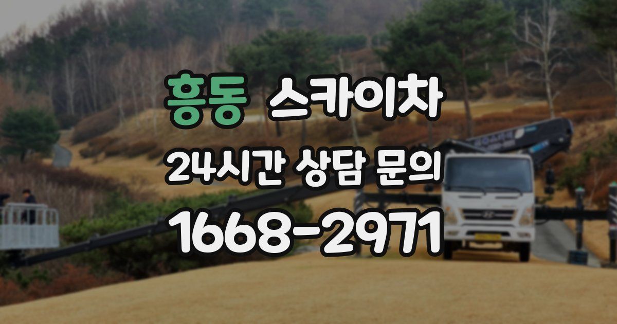 흥동 스카이차