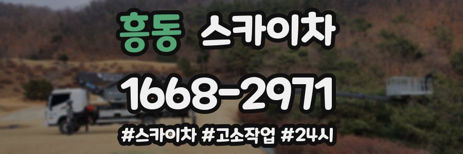 흥동 스카이차