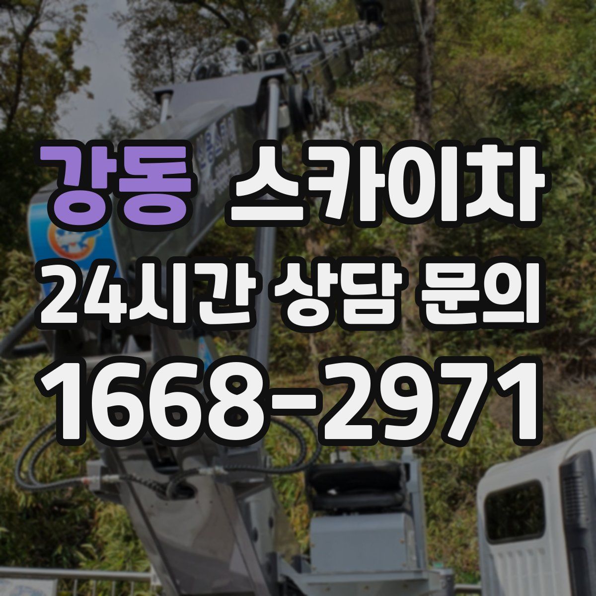 강동 스카이차