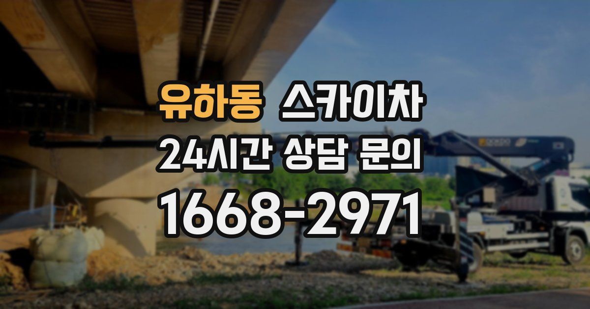 유하동 스카이차