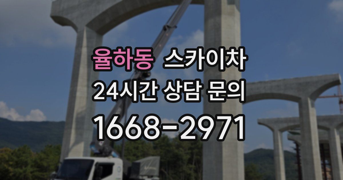 율하동 스카이차