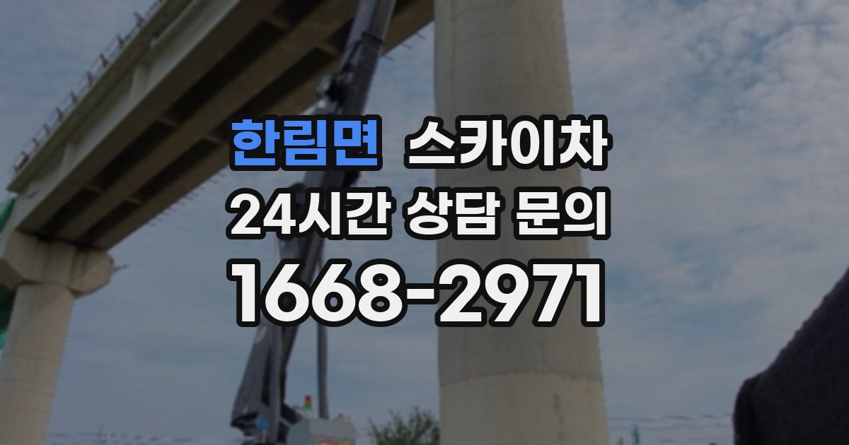 한림면 스카이차
