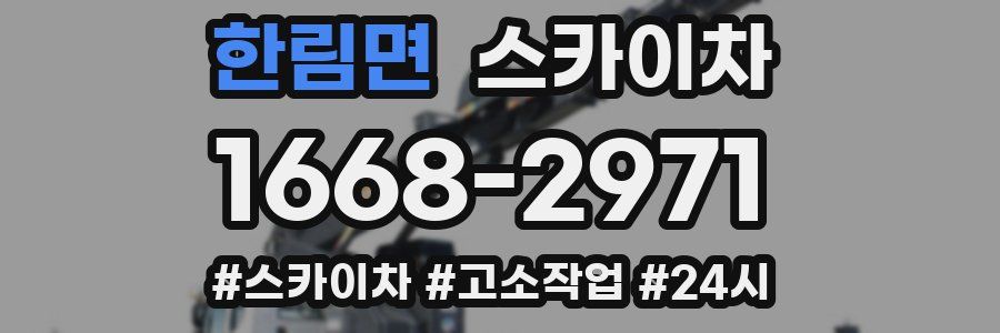 한림면 스카이차