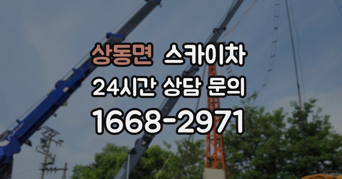 상동면 스카이차
