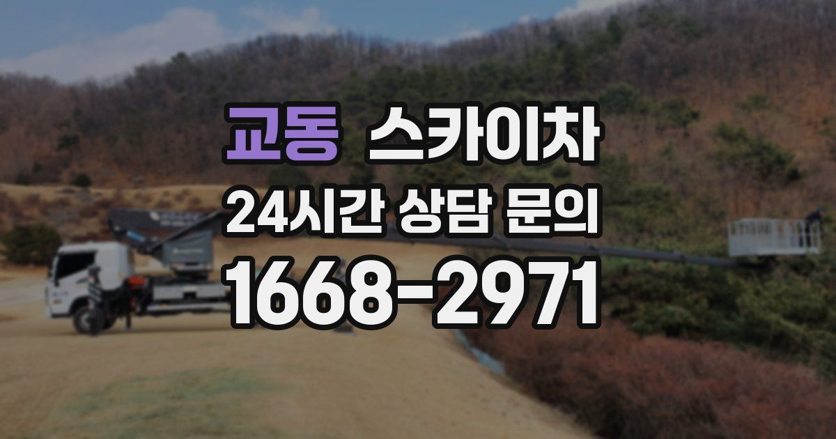 교동 스카이차