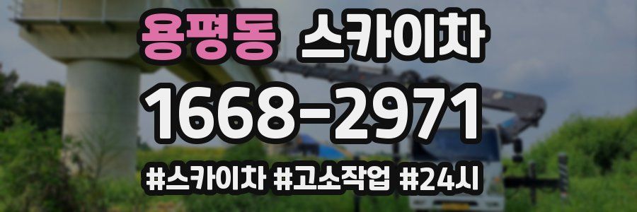 용평동 스카이차