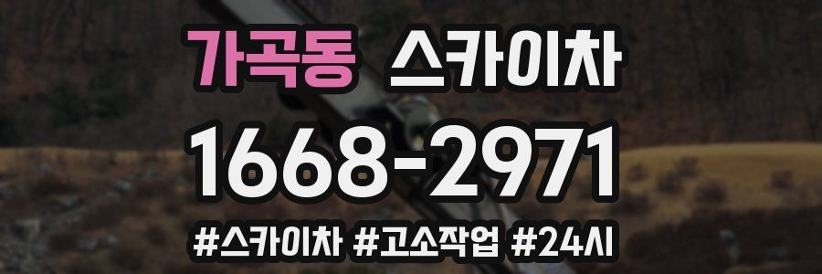 가곡동 스카이차