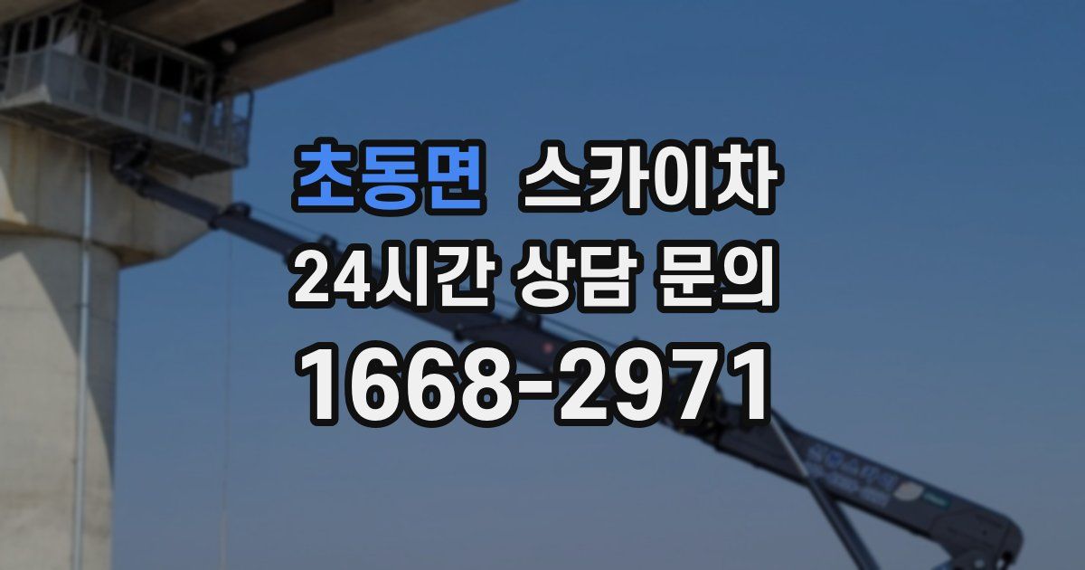 초동면 스카이차