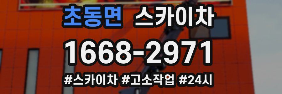 초동면 스카이차