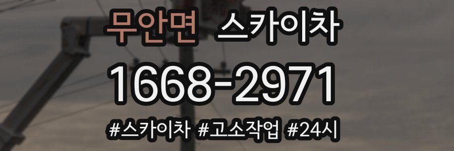 무안면 스카이차