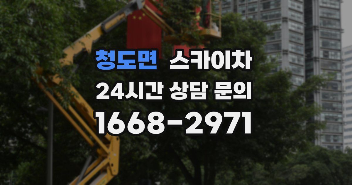 청도면 스카이차