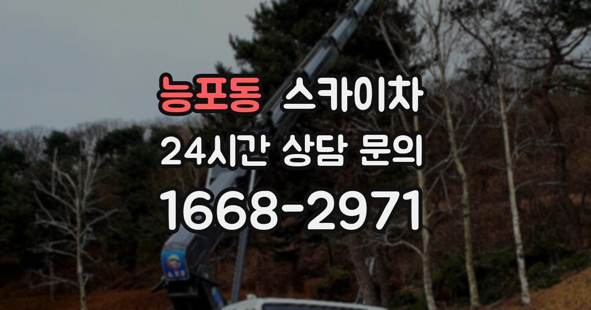 능포동 스카이차