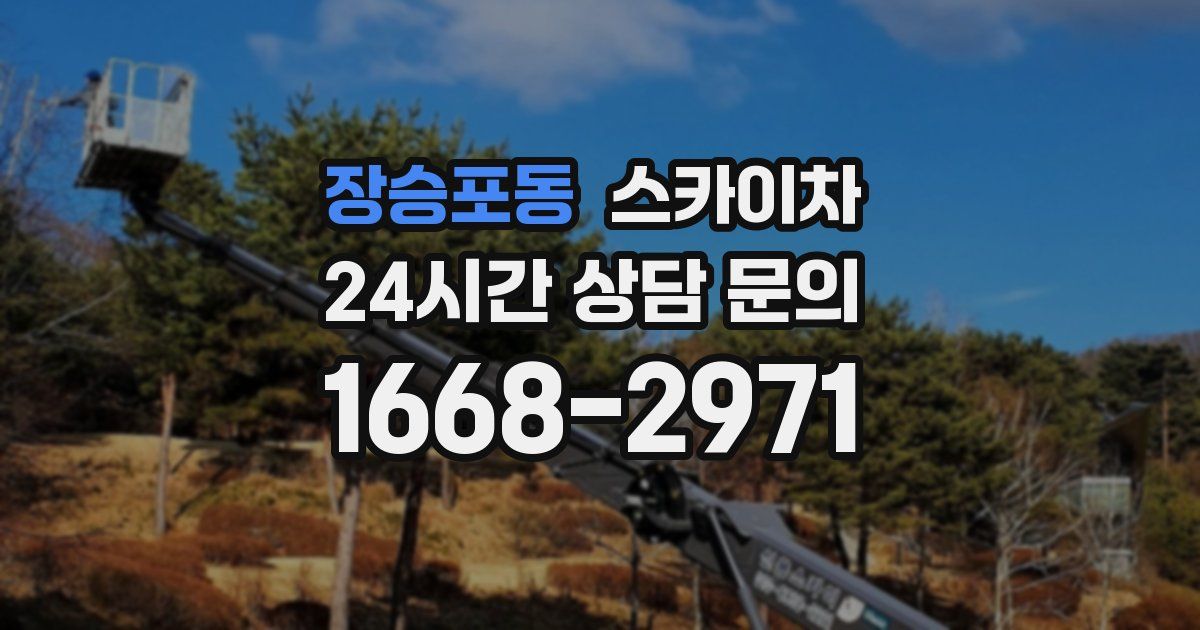 장승포동 스카이차