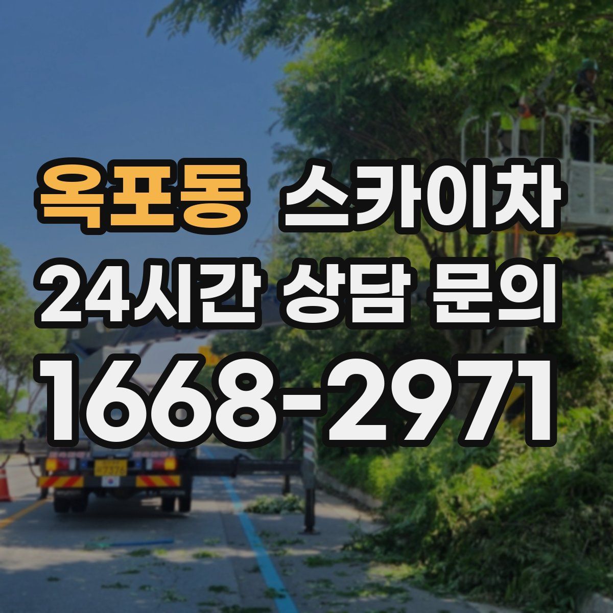 옥포동 스카이차