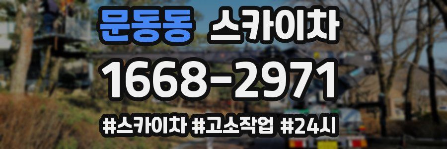 문동동 스카이차