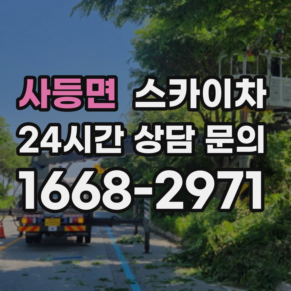 사등면 스카이차