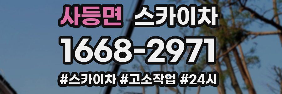 사등면 스카이차