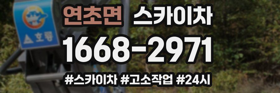 연초면 스카이차
