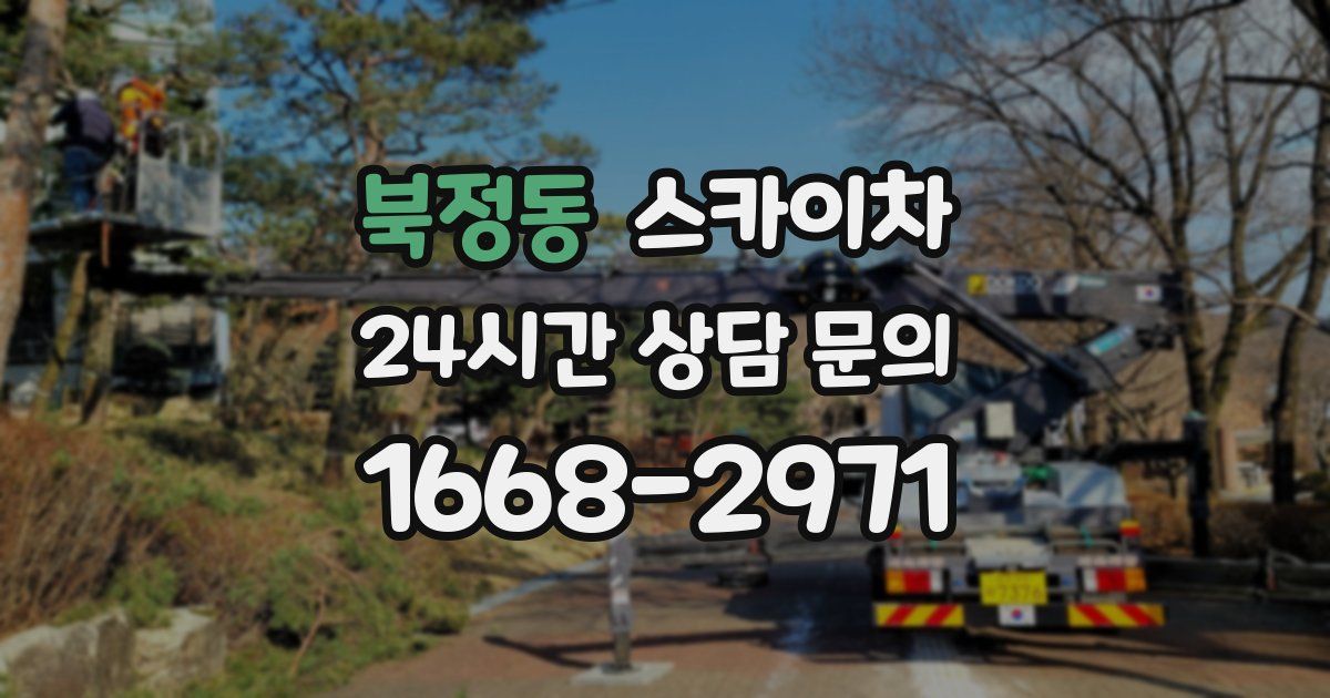 북정동 스카이차