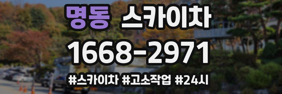 명동 스카이차
