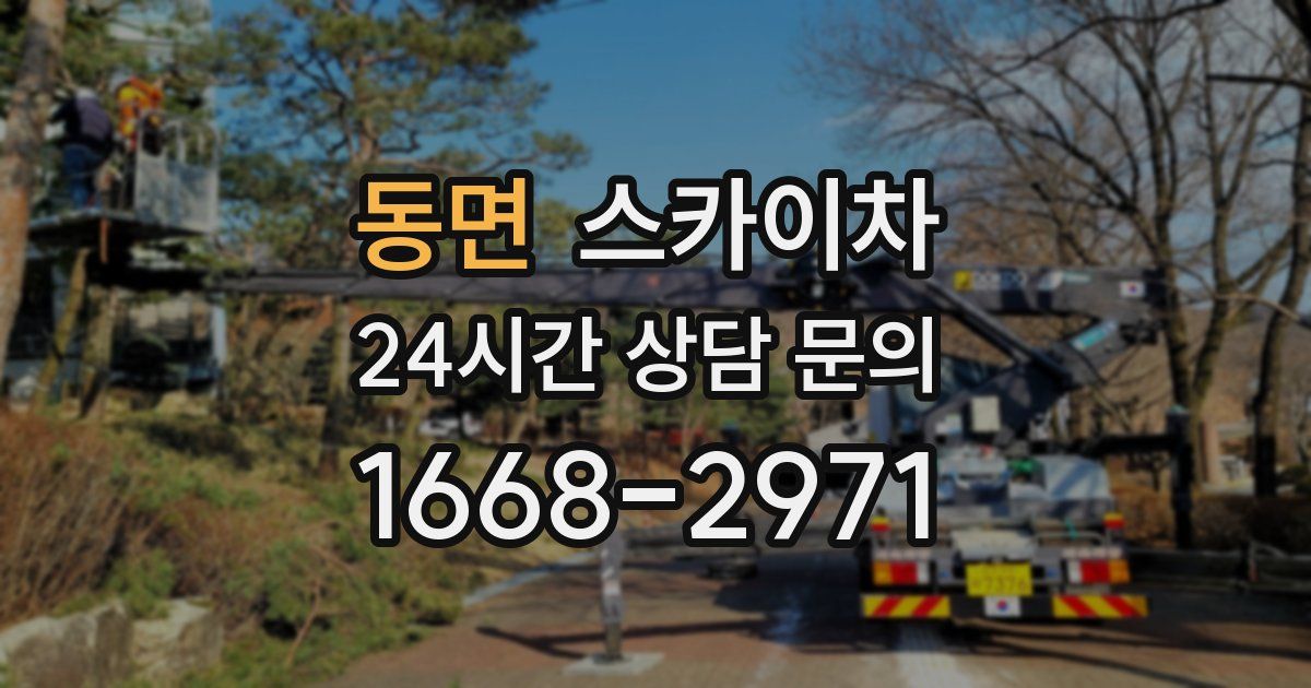 동면 스카이차
