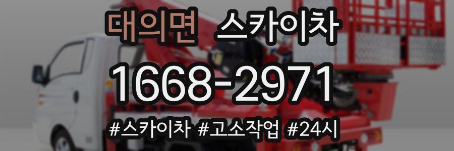 대의면 스카이차