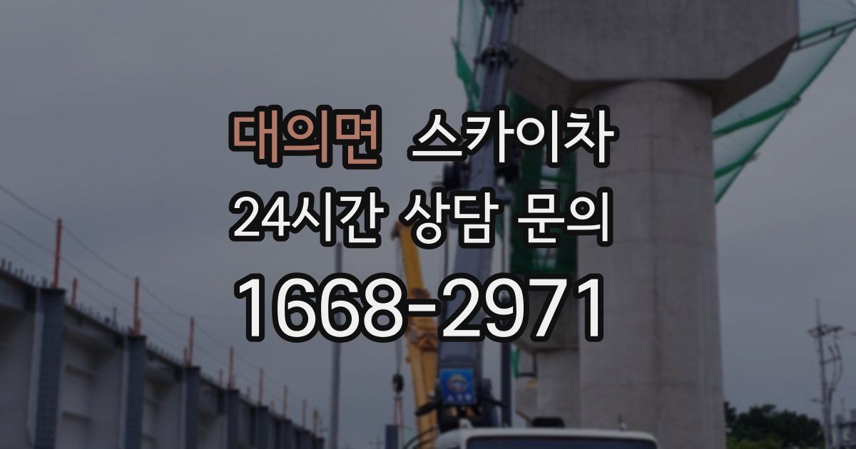 대의면 스카이차