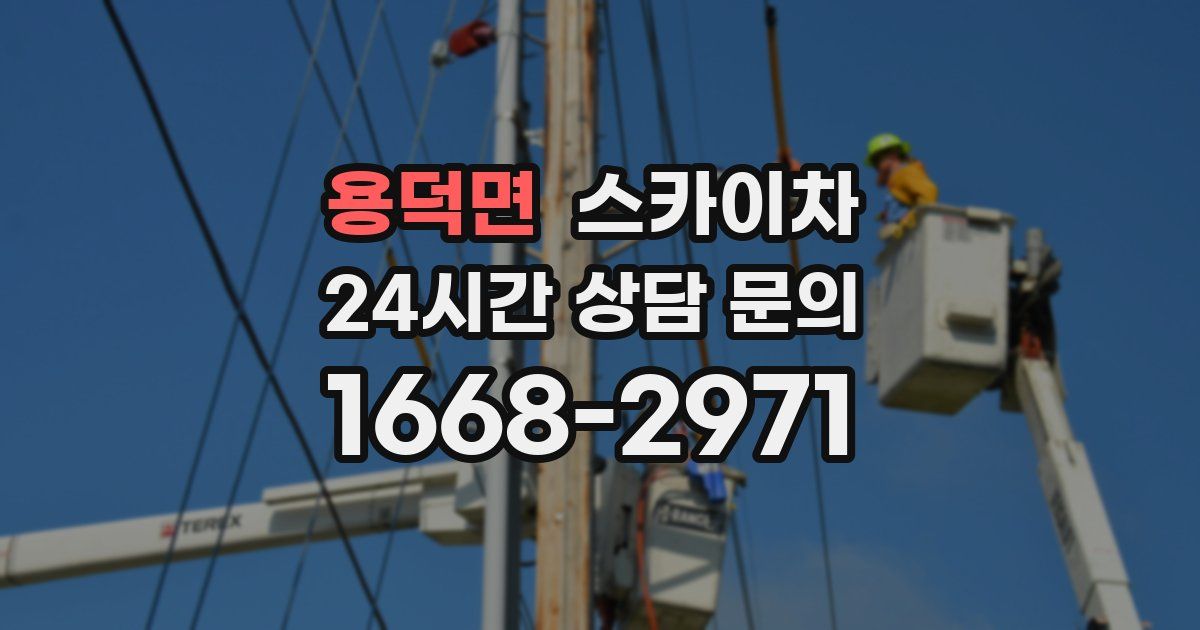 용덕면 스카이차