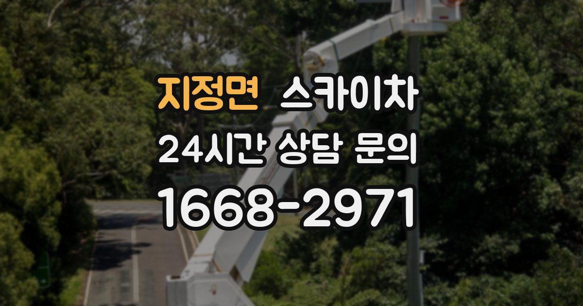 지정면 스카이차