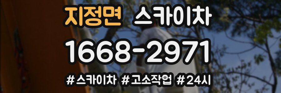 지정면 스카이차